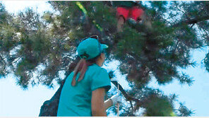 리디아 고, 나뭇가지 때문에 스톱?