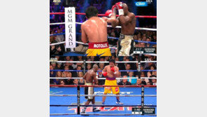 메이웨더 파퀴아오에 3-0 판정승 ‘환호’…But! 팬들 반응은 ‘글쎄’