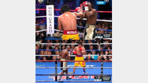 메이웨더 vs 파퀴아오, 파퀴아오 “승자는 나… 메이웨더는 아무것도 하지 않았다”