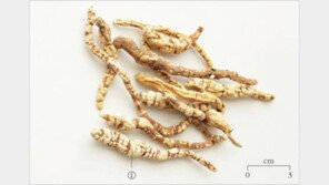 소비자원 “내츄럴엔도텍 사과 및 대책 진정성 부족” 추가 법적조치 검토 예정