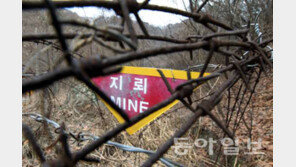 북한 억류 한인학생, 불법입북 혐의 체포…미국 거주 한국 국적자