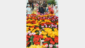 어린이날 가볼만한 곳 소개… 무료입장 가능한 곳 어디?