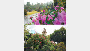 [중·한 코리아 가이드 매거진 ‘니하오’]제주도에 활짝 핀 대한민국 최초의 야생화 박물관,방림원