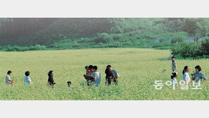 ‘메밀꽃 필 무렵’ 소설 속 이효석 문학의 숲 개방