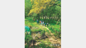 [대전/충남]‘대청호 오백리길’ 아시나요