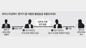환치기 막아 보이스피싱 근절? ‘물건치기’엔 속수무책 