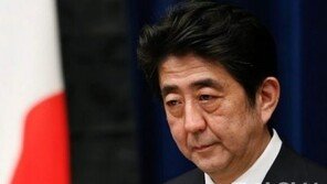 [전문]세계 역사학자 187명 ‘일본의 역사가들을 지지하는 공개서한’