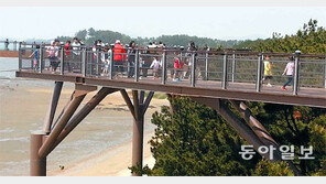 [대전/충남]서천 소나무숲서 열리는 ‘생명의 바다 그림대회’