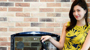 스팀기능으로 집먼지진드기 박멸