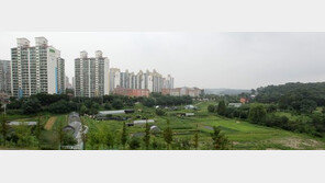 그린벨트 규제완화, 30만㎡ 이하 그린벨트 시도지사가 푼다…난개발-투기 우려도