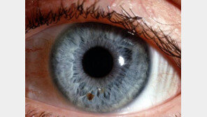 30대 노안 환자 급증…‘어두운 곳에서 스마트 폰-컴퓨터 이용, 노안 위험↑’