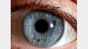 30대 노안 환자 급증, 이유는 어두운 곳에서 보는 ‘이것’ 때문…예방에 좋은 음식은?