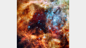 젊은 은하 발견, 지금도 별들이 만들어져…‘가장 멀리 있는 은하’