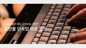 [라메드] “이제 야동만 봐도 구속되는 거야?” 음란물 단속법 바로 알기