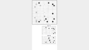 [바둑]제59기 국수전… 모양 키우는 급소 14