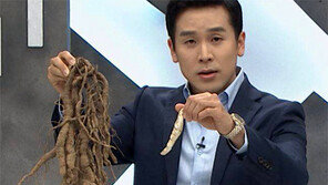 中 학술논문 “이엽우피소 식용 부적절”