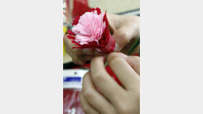 어버이날 유래, 1973년 어머니날→어버이날 로 개칭…기원은 미국?