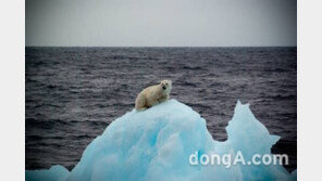 지구 이산화탄소 농도 400ppm 넘었다…기온 상승 심리적 지지선 붕괴