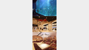 롯데월드몰 국면전환 승부수…과연 효과는?