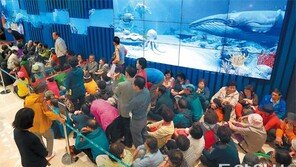 재개장 롯데월드몰, 첫날 10만명 몰려