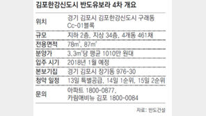 [아파트 미리보기]김포 한강신도시 반도유보라 4차