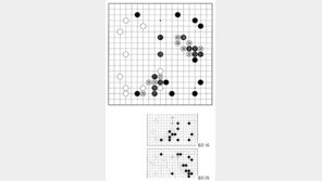 [바둑]제59기 국수전… 좋은 감각 29, 41