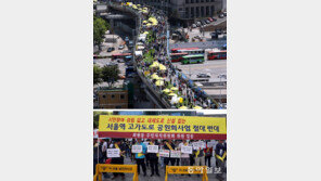 서울역 고가에 시민들 소풍… 시장 상인들은 “공원화 반대”