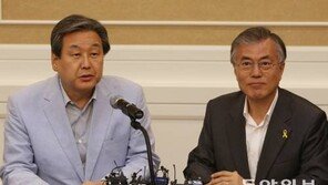 김무성, 7개월만에 차기 대선후보 지지도 1위…문재인 제쳐