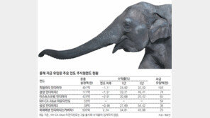 달리는 코끼리 등에 올라타라