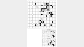 [바둑]제59기 국수전… 실착 46