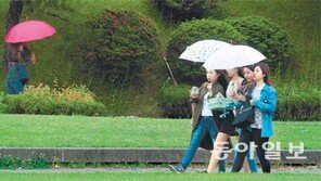 봄비 우산 속에… 비 내리는 교정