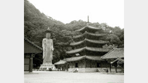 [CEO&]원창건설㈜, 문화재와 웃고 운 50여년… 조상의 얼 보듬다