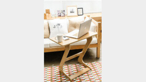 ‘나 혼자 산다’ 싱글족 늘자 소형 가구 판매도 덩달아 불티