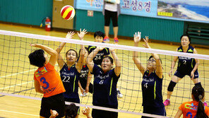 [생활체육 7330] 7세부터 90세…세대 허문 동호인 축제