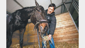 3兆시장 꿈틀… 말, 高부가 산업으로 달린다