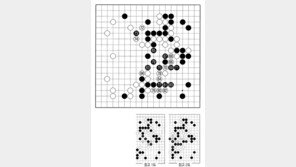 [바둑]제59기 국수전… 복잡해진 국면