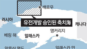 美, 북극해 원유시추 허용… 에너지 패권강화 잰걸음 