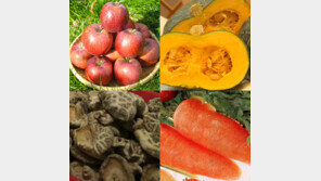 환절기 면역력 강화식품, 슈퍼푸드 7가지는 무엇?…‘당장 챙겨 드세요’