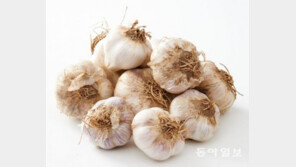 환절기 면역력 강화식품, 마늘의 효능을 가르켜 일해백리(一害百利)라 부르는 까닭?