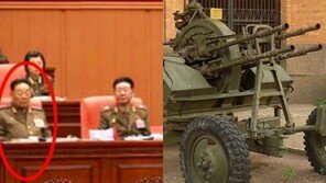 김정은, 현영철 인민무력부장 고사포로 처형? “온살 뜯겨나가게…열등감 있는 것”