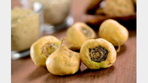 식물 마카 품귀 현상, 1년 사이 가격 몇 배 급증했나 봤더니…‘얼마나 좋길래?’