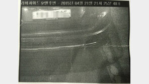 과태료 통지서 속의 차량이 내 차가 아니다?… “헐! 어떻게 된 일”