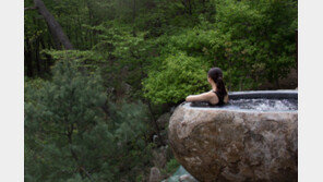 스파와 산림욕을 동시에