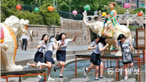 연등 조형물 아래… 그대로 멈춰라