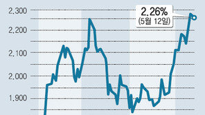 믿었던 채권형펀드마저… 196개중 160개 손실
