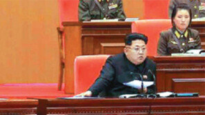 [뉴스분석]불경죄 처형… 김정은 ‘공포통치’