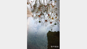 [부처님오신날]파문은 염원을 이길 수 없습니다