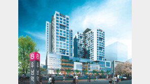 [화제의 분양현장]초저금리시대 시중자금 몰리는 신도시 상가 