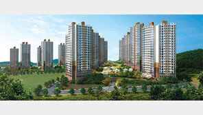 [화제의 분양현장]1차 완판신화, 대단지 브랜드타운 