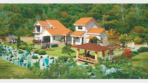 [화제의 분양현장]초대형 친환경 그린홈 91가구 外